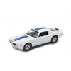 Mounted Miniatures - Pontiac Firebird Trans White 1972 1/24 Welly