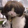 Straight Hair Dog Hairpiece Colorful Cat Cosplay Wig DIY Pet Costume Wig  Cosplay Party