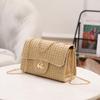 Ladies Bag Fresh and Fashionable Cross Lock Chain Square Bag Personalized Grass Woven Flip Cross Shoulder Women's Bag