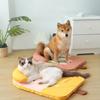 Летняя охлаждающая подушка для кровати для кошек и кошек, ледяная подушка для сна, квадратный коврик для собак, собак, кошек, питомник для домашних животных, высокое качество, прохладный холод