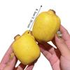 Hand Relax Crunchy Sesame Banana Shapable Blocks Filled Squishy Crispy Squeeze  Children Gifts