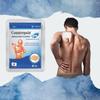 Medicated Cold Patch 7x10cm 4pcs for Sprains, Stiff Shoulder and Muscle Pain with Camphor and Menthol