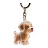 Pet Hair Collector Keychain Transparent Souvenir Capsule Waterproof Design Dog Hair Memorial Keychain