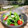 500ml Pure Ti Camping Plate Lightweight Ti Dish Cookware Outdoor Backpacking Plate for Camping Hiking Kitchen