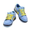 The Powerpuff Girls x Nike Dunk Low Pro SB QS PS Bubbles Детские Кроссовки Синий Синий-Chill Глубокий-Королевский-Синий FZ8833-400