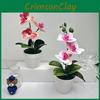 Realistic Orchid Butterfly  Green Plants Potted For Decorations Indoor