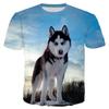 Funny Pet Dog T-Shirts Husky Animal 3D Print Streetwear Men Women Fashion Oversized Short Sleeve T Shirt Kids Tees Tops Clothing