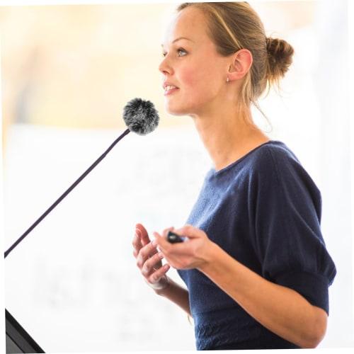 Sosoport 2-Piece Microphone Windscreen, Furry Windscreen