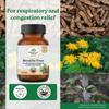 ORGANIC INDIA Breathe Free 60 растительных капсул для комфортного дыхания, облегчения заложенности и поддержки легких, натуральная травяная формула