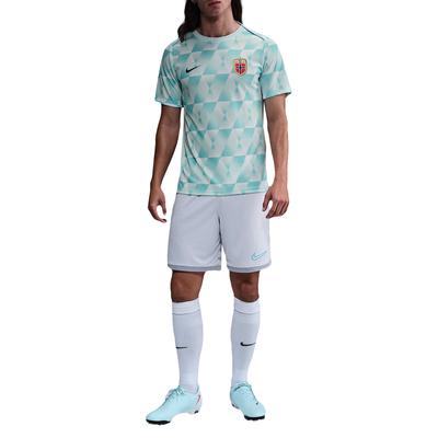 Влагоотводящая приталенная футболка с коротким рукавом Dri-Fit Norway Academy Pro для мужчин FZ9713-474