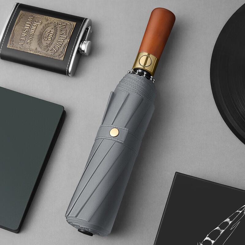 Lijing Tiancheng LJ3018 10-Rib Automatic Sun & Rain Umbrella