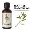 Tea Tree 100% Pure Essential Oil Natural Therapeutic Grade Aromatherapy