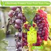 Pest Control Fly Catcher Reusable Fly Trap Creative Flytrap Cage  For Outdoor Garden Farm
