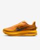 IH3256-700 Nike Pegasus PRM Modern Mayfly (Мужской)