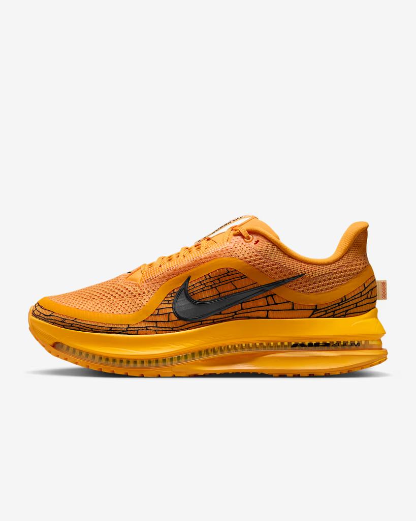 IH3256-700 Nike Pegasus PRM Modern Mayfly (Мужской)