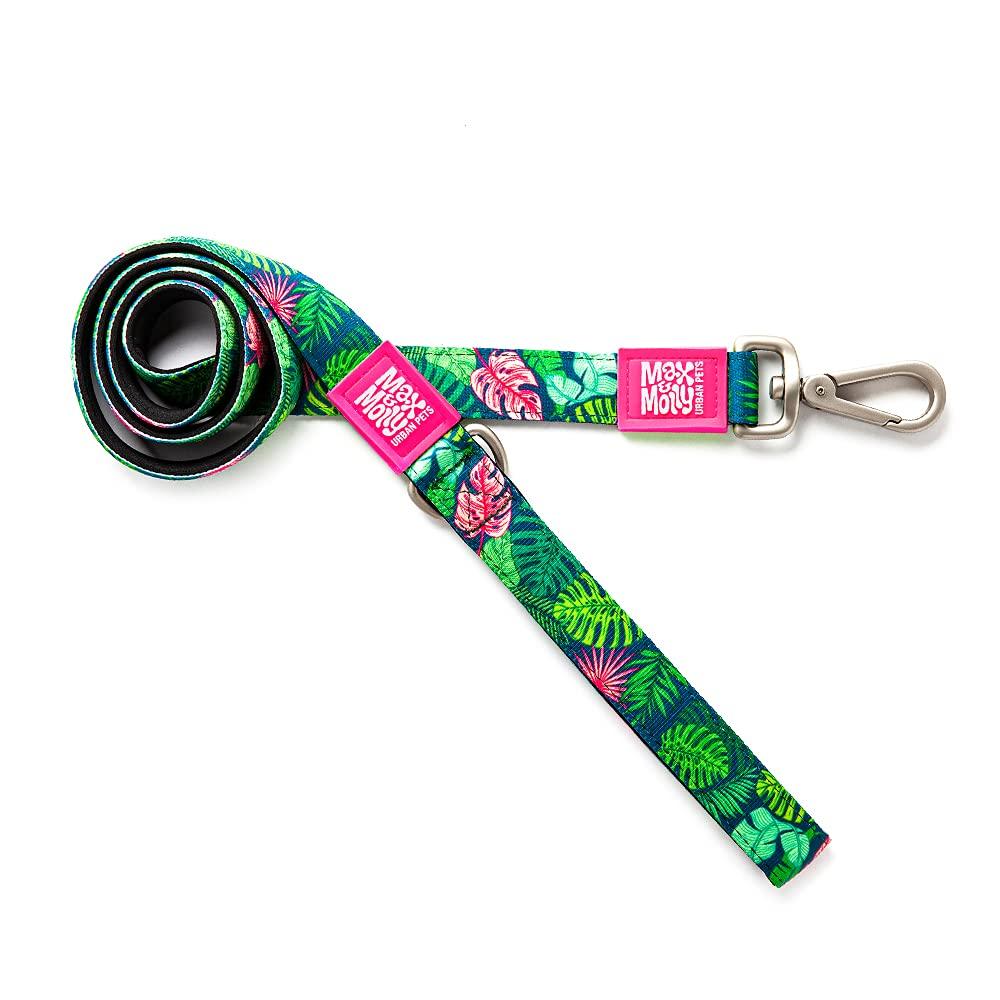 ROOKCRAN Max Molly Размер собаки с Подходит для и Большой Стильный 025066 & Поводок, Тропический, M, Крючок, Маленький, Средний, Собаки, Дизайн,