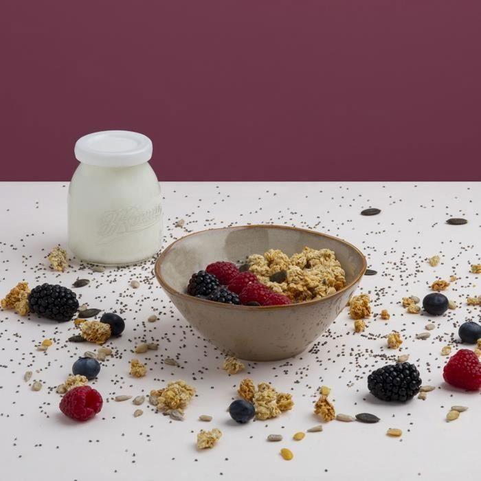 Yaourtière HKOENIG - ELY120 - Capacité 12 pots en verre de 160ml + 1 pot à fromage blanc (1,2L) - Programmable jusqu'à 15h - 15W