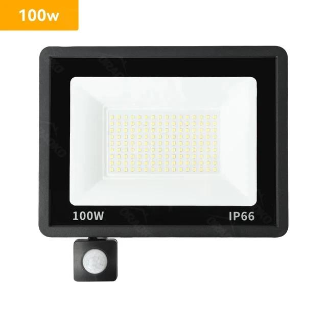 Светодиодный прожектор PIR датчик движения белый/теплый белый IP66 AC220V наружный прожектор SMD2835 наружное освещение напольный светильник