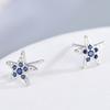 S925 Sterling Silver Refreshing Blue Diamond Star Ear Studs Simple Couple Personal Korean Style All-Matching Five-Pointed Star Earrings