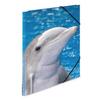 Herma Elasticated PP Folder A4 Animals (Dolphins)