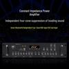 SAST AV-318 High-Power Audio Amplifier CN plug (adapter included)