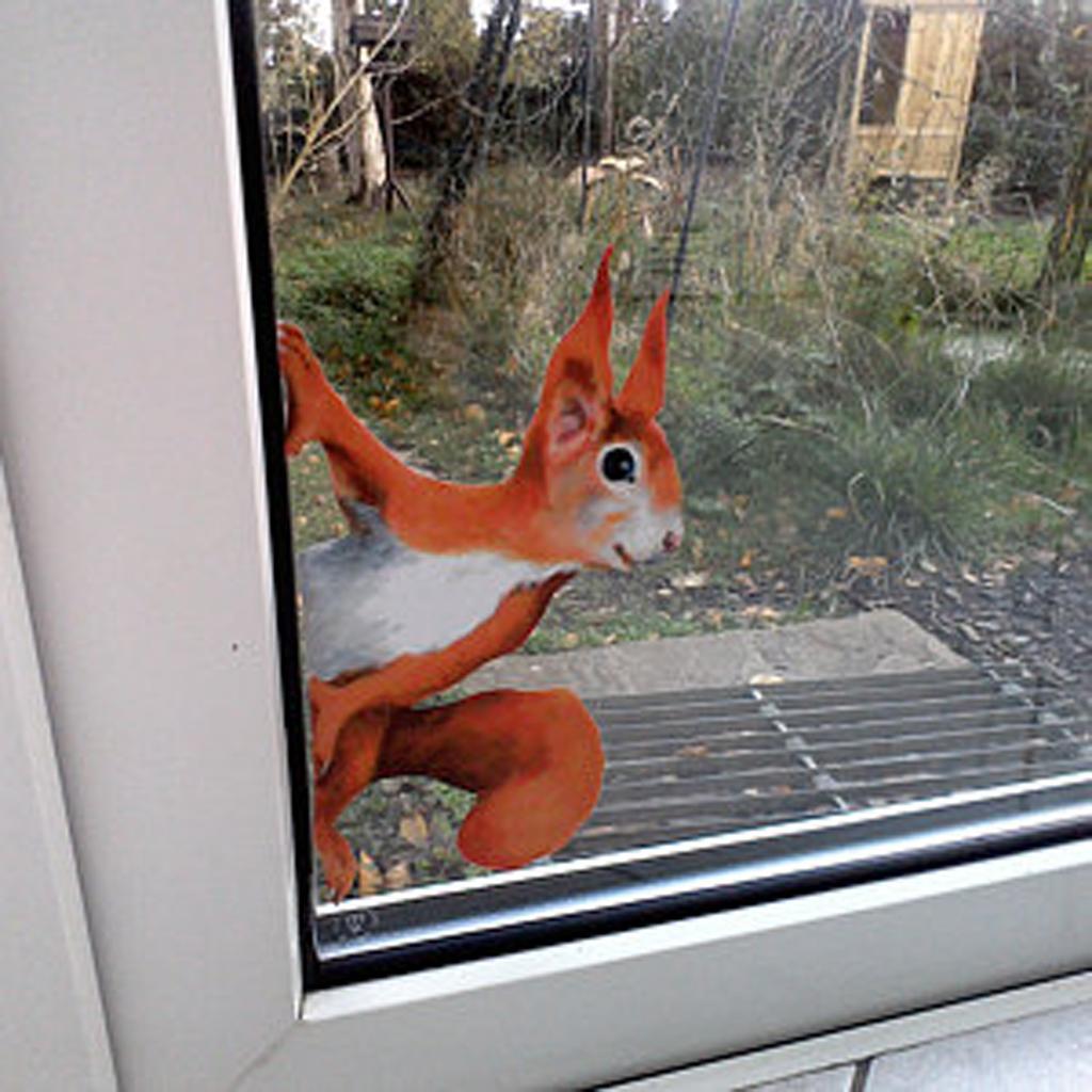 1/3/5PCS  Peeping Squirrel Wall Decal,  Stickers For Walls And Windows