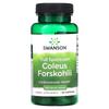 Полный спектр Coleus Forskohlii, 400 мг, 60 капсул