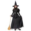 New Women's Halloween Dress Black Witch Witch Cosplay Costume Set