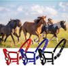 Padded Halter Pony Bridle Head Collar Adjustable Zinc Alloy Protective Gear Handily Wear Horse Supplies Solidness