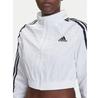 Толстовка adidas Teamgeist adicolor