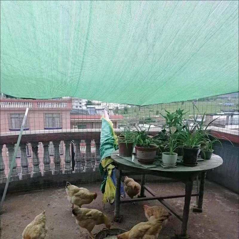 Зеленый анти-УФ HDPE солнцезащитный козырек для суккулентных растений, парус для защиты от солнца, уличный плавательный бассейн, садовая сетка, уровень затенения 50~55%