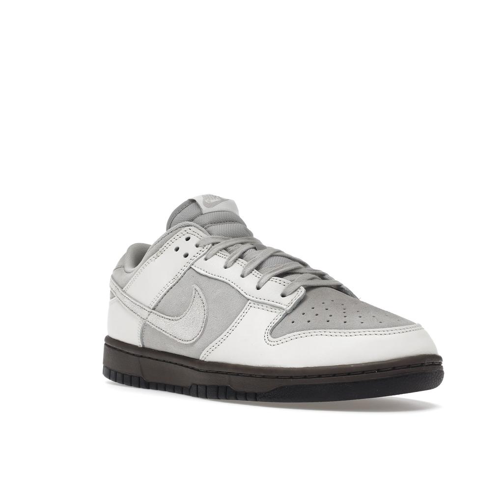 Nike Dunk Low Retro FD9746-001