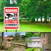 Rurumi Security Reflective Sign 30cm X 20cm Aluminum Security Plate Security Camera Working Surveillance Camera Warning Waterproof Outdoor Suitable