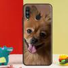 Чехол для телефона Huawei Nova Y91 Y90 Y60 Y70 Y72 Y61 9 10 SE 12i 12s 11i 5T P60 Pro P20 P30 P40 Lite с изображением собаки породы Померанский шпиц