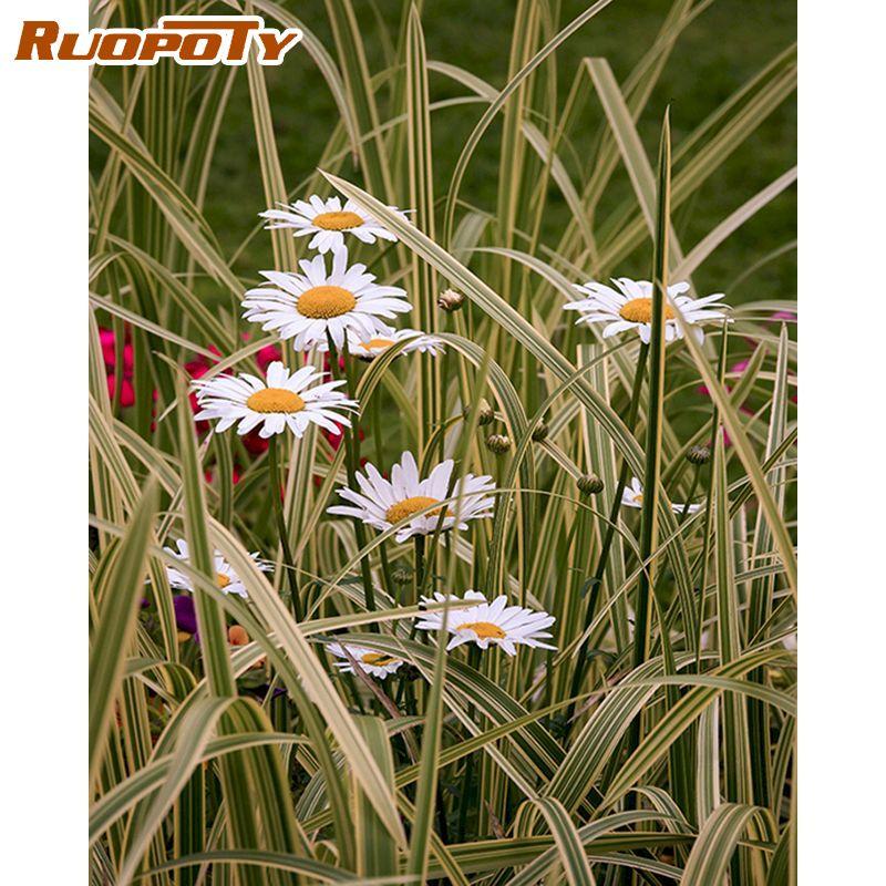 RUOPOTY Безрамные цветы для дома и сада, картина по номерам, ручная роспись, наборы, современное настенное искусство для домашнего декора