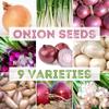 Onion Seeds Set / 9 Popular Varieties / Organic / Non GMO