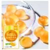 Из 10 Kaneka Foods Wakayama Wenzhou Mikan Gummy Fruit Juice Gummy Labret Lactic Acid Bacteria 40 г x 10 пакетиков Gummy Popular Large Capacity [набор пакетов]