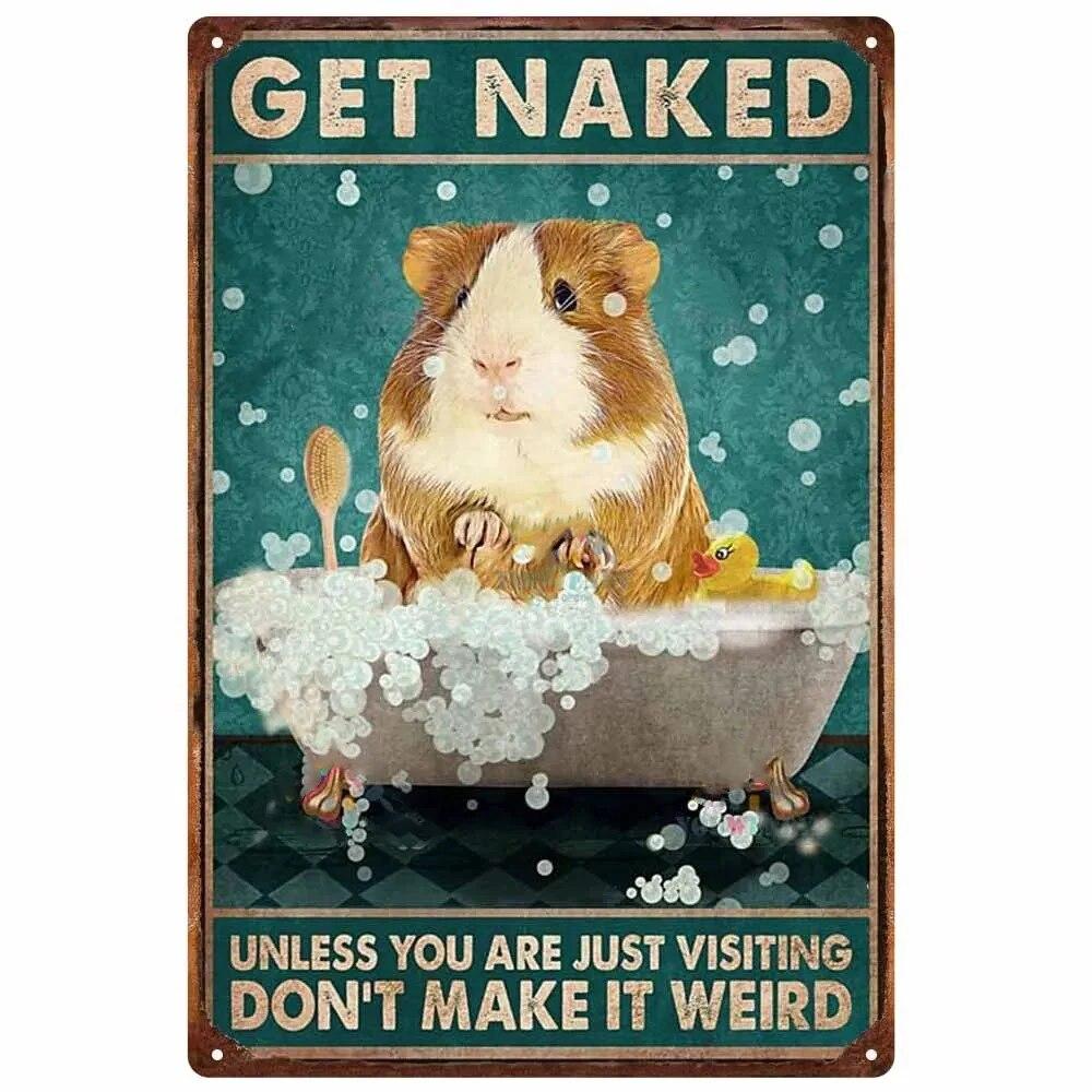 Vintage Metal Tin Signs Wall Decor Get Naked Unless You Are Just Visiting Don't Make It Weird Retro Tin Sign Posters