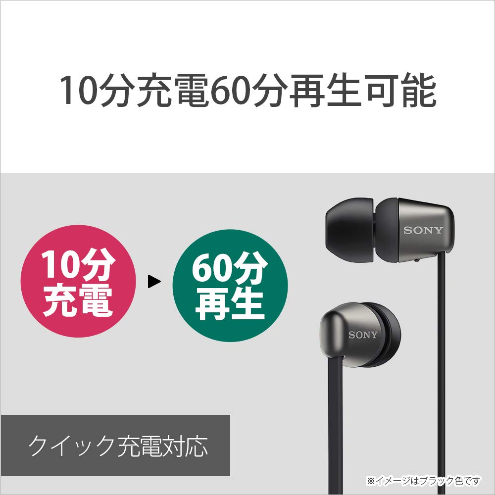 Sony Беспроводные наушники WI-C310 Черные