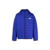THE NORTH FACE Down Jacket Men's Blue (Unisex) Down Jackets NF0A7UQA 40S