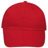 Buffalo 6 Panel Baseball Cap