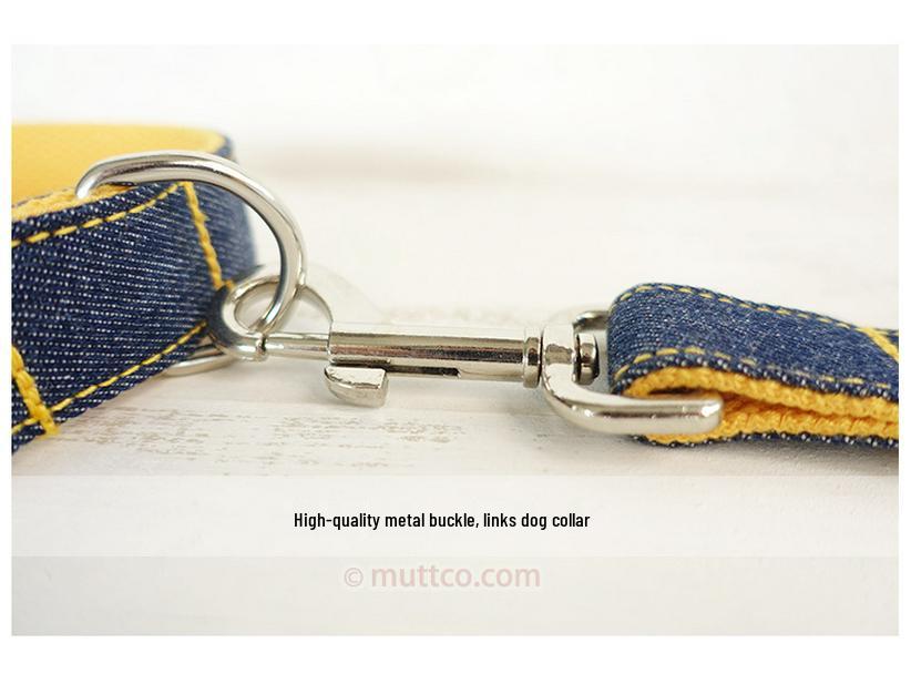 Personalized DIY Pet Leash and Handmade Dog Collar Set for Walking