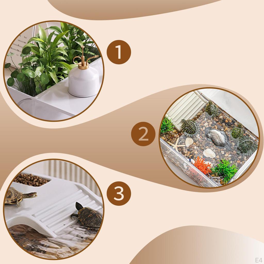 Turtle Tank Accessories Basking Ramp Sturdy Tortoise Enclosure Starter Reptile Habitat