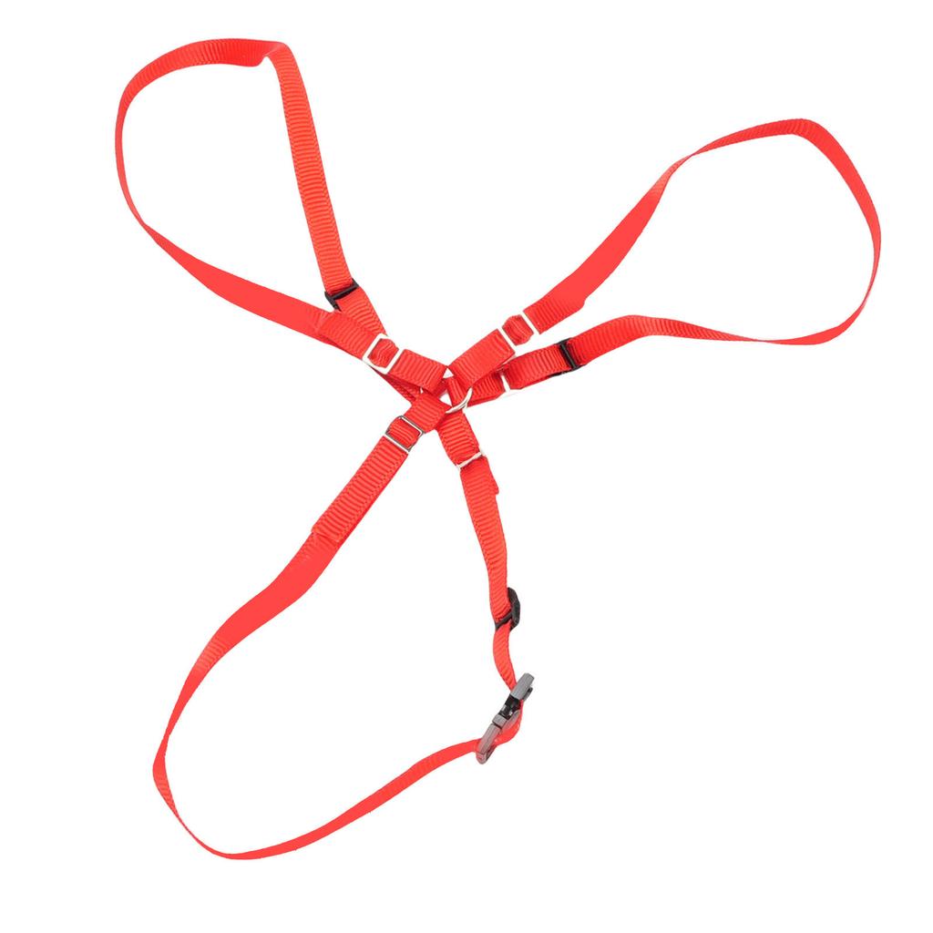 Spare Tire Strap Kit Fit for TRAXXAS UDR 1 10 RC Cars Nylon Spare Tire Fixed Y Strap with Hooks Red