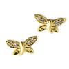 [N7255] - Gold Plated Earrings 'Dragonflies' White Gold