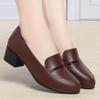 Soft Leather Comfortable Spring and Autumn Women's Leather Shoes Thick Heel Comfortable Single Shoes Light Women's Shoes
