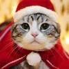 Christmas Cat Cloak Scarf Dog Pet Cosplay Costume Xmas Kitten Plush Santa Hat Funny Birthday Party Mantle Dress Up Apparel