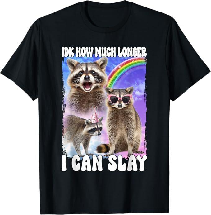 Idk How Much Longer I Can Slay Meme Raccoon Funny T-Shirt