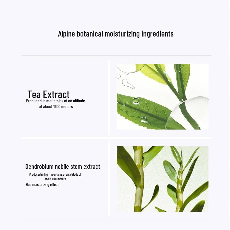 Dr. Plant Alpine White Tea Brightening Primer 45ml