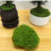 Simulation Moss Diy Artificial Moss Green Plant Decoration Landscaping Bonsai Pavement Silky Fake Moss